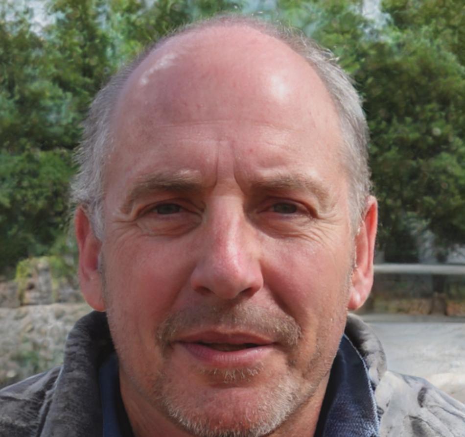 Mentor financier expérimenté